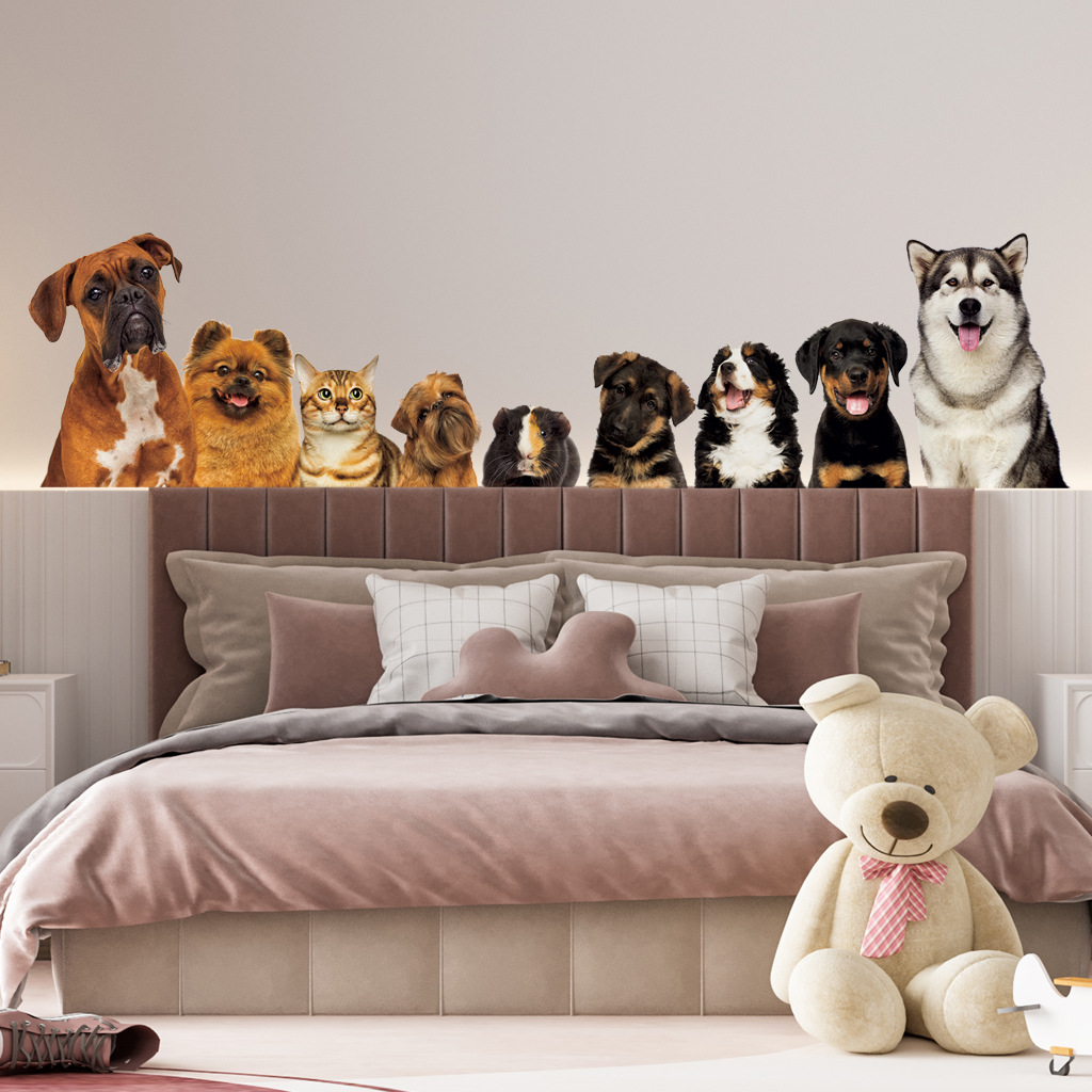 Home Cinema Wallpaper - C30 # 9 gatos fofos e