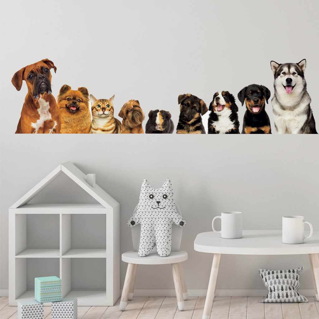 C30 #   9 gatos fofos e cães a - Home Cinema Wallpaper avaliação e preço