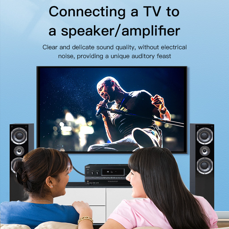 Cabo RCA Choseal, Cabo de Áudi - Home Cinema Choice avaliação e preço